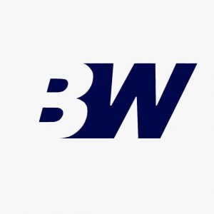 دنیای باطری BW (Battery World)